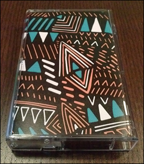 wb_case